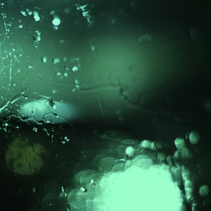 农村诱奷小箩莉H合集
